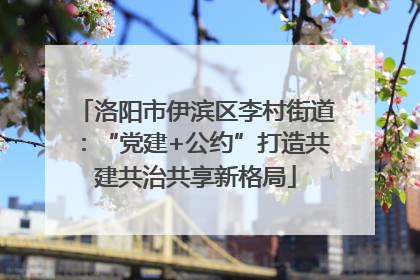 洛阳市伊滨区李村街道：“党建+公约”打造共建共治共享新格局