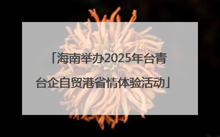 海南举办2025年台青台企自贸港省情体验活动