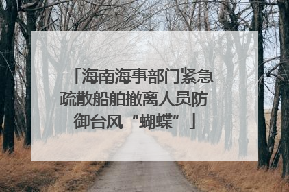 海南海事部门紧急疏散船舶撤离人员防御台风“蝴蝶”