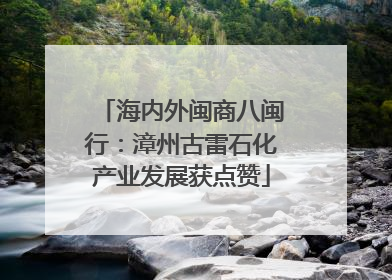 海内外闽商八闽行：漳州古雷石化产业发展获点赞