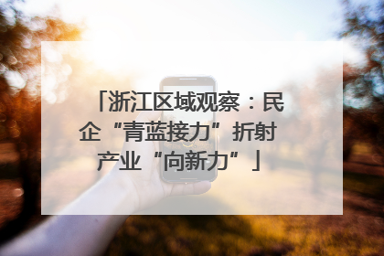 浙江区域观察：民企“青蓝接力”折射产业“向新力”