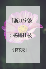 浙江宁波：杨梅挂枝引客来