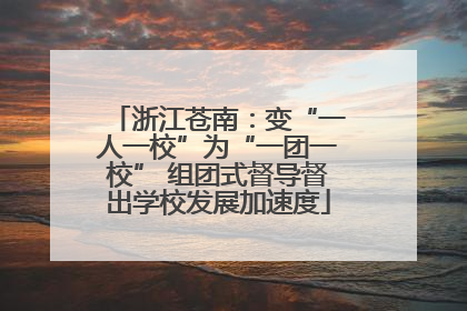 浙江苍南：变“一人一校”为“一团一校” 组团式督导督出学校发展加速度