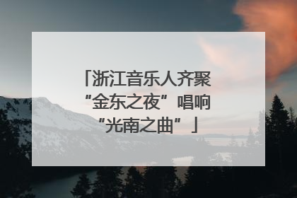 浙江音乐人齐聚“金东之夜”唱响“光南之曲”