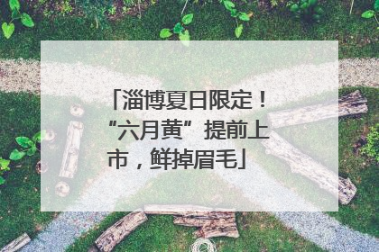 淄博夏日限定！“六月黄”提前上市，鲜掉眉毛
