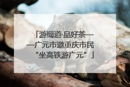 游蜀道·品好茶——广元市邀重庆市民“坐高铁游广元”