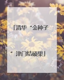 清华“金种子”津门结硕果