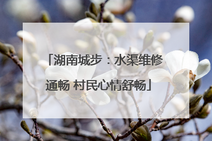 湖南城步：水渠维修通畅 村民心情舒畅