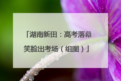 湖南新田：高考落幕 笑脸出考场（组图）