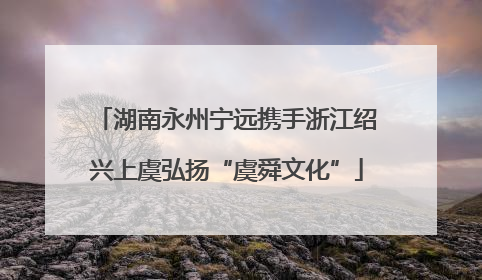 湖南永州宁远携手浙江绍兴上虞弘扬“虞舜文化”