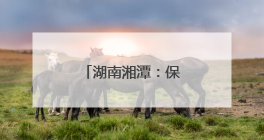 湖南湘潭：保供电 守护群众“清凉度夏”