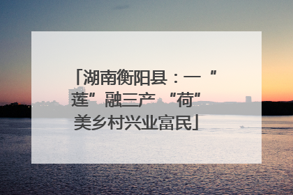 湖南衡阳县：一“莲”融三产 “荷”美乡村兴业富民