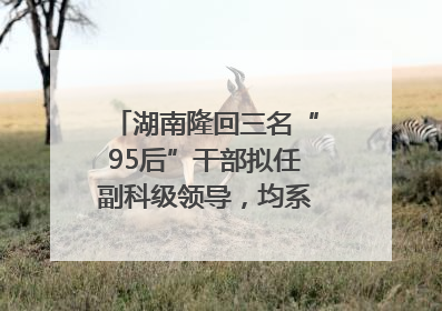 湖南隆回三名“95后”干部拟任副科级领导，均系硕士选调生