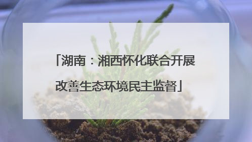 湖南：湘西怀化联合开展改善生态环境民主监督