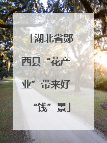 湖北省郧西县“花产业”带来好“钱”景