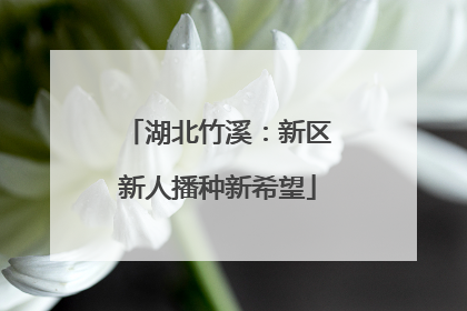 湖北竹溪：新区新人播种新希望