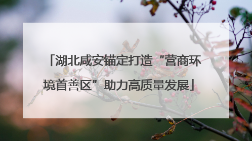 湖北咸安锚定打造“营商环境首善区”助力高质量发展