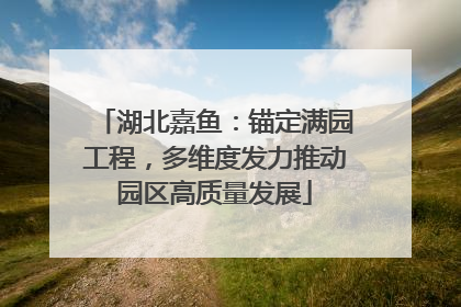 湖北嘉鱼：锚定满园工程，多维度发力推动园区高质量发展