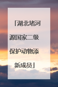 湖北堵河源国家二级保护动物添新成员
