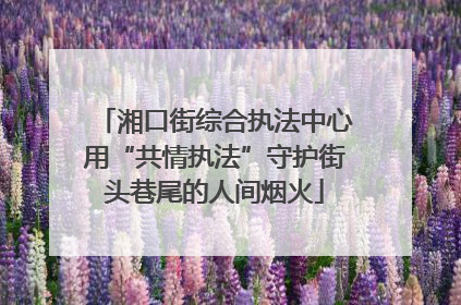 湘口街综合执法中心用“共情执法”守护街头巷尾的人间烟火