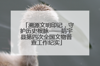 溯源文明印记，守护历史根脉——靖宇县第四次全国文物普查工作纪实