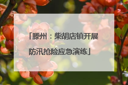 滕州：柴胡店镇开展防汛抢险应急演练
