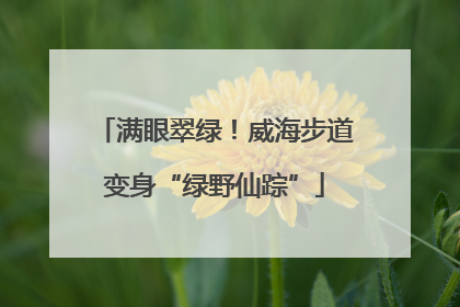 满眼翠绿！威海步道变身“绿野仙踪”