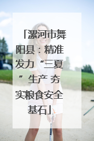 漯河市舞阳县：精准发力“三夏”生产 夯实粮食安全基石