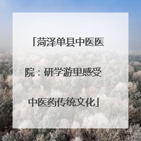 菏泽单县中医医院：研学游里感受中医药传统文化