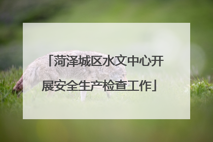 菏泽城区水文中心开展安全生产检查工作