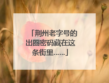 荆州老字号的出圈密码藏在这条街里……