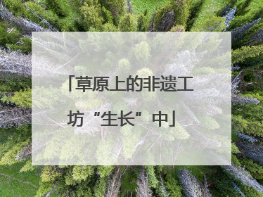 草原上的非遗工坊“生长”中