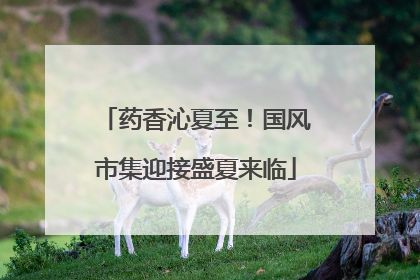药香沁夏至！国风市集迎接盛夏来临