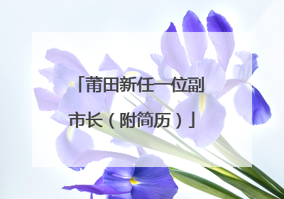 莆田新任一位副市长（附简历）