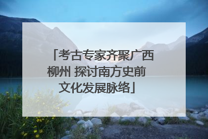 考古专家齐聚广西柳州 探讨南方史前文化发展脉络