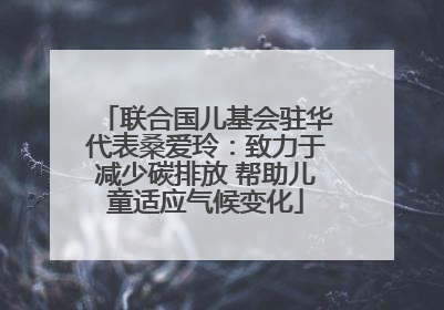 联合国儿基会驻华代表桑爱玲：致力于减少碳排放 帮助儿童适应气候变化