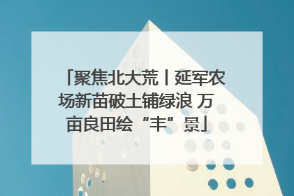 聚焦北大荒丨延军农场新苗破土铺绿浪 万亩良田绘“丰”景