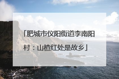 肥城市仪阳街道李南阳村：山楂红处是故乡