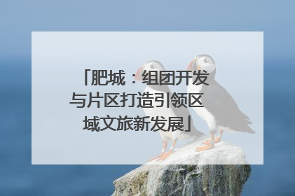 肥城：组团开发与片区打造引领区域文旅新发展