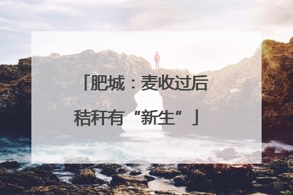 肥城：麦收过后秸秆有“新生”