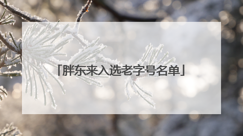 胖东来入选老字号名单