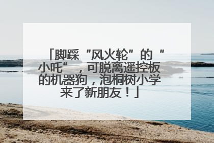 脚踩“风火轮”的“小吒”，可脱离遥控板的机器狗，泡桐树小学来了新朋友！