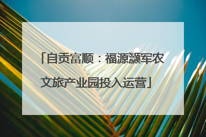 自贡富顺：福源灏军农文旅产业园投入运营