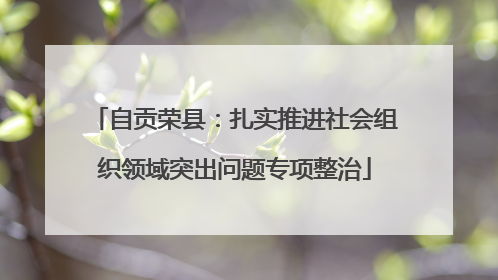 自贡荣县：扎实推进社会组织领域突出问题专项整治