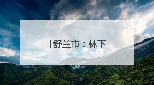 舒兰市：林下养白鹅 “点绿成金”富农家