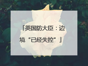英国防大臣：边境“已经失控”