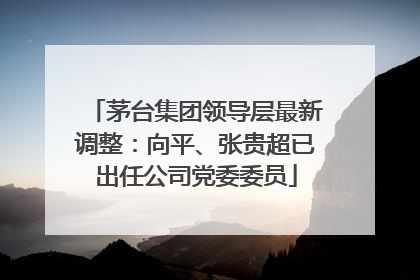 茅台集团领导层最新调整：向平、张贵超已出任公司党委委员