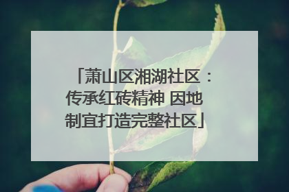 萧山区湘湖社区：传承红砖精神 因地制宜打造完整社区