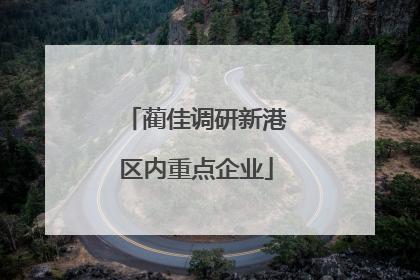 蔺佳调研新港区内重点企业
