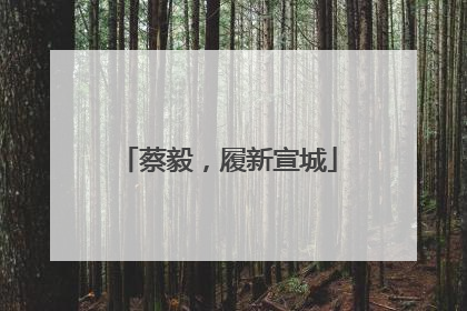 蔡毅，履新宣城
